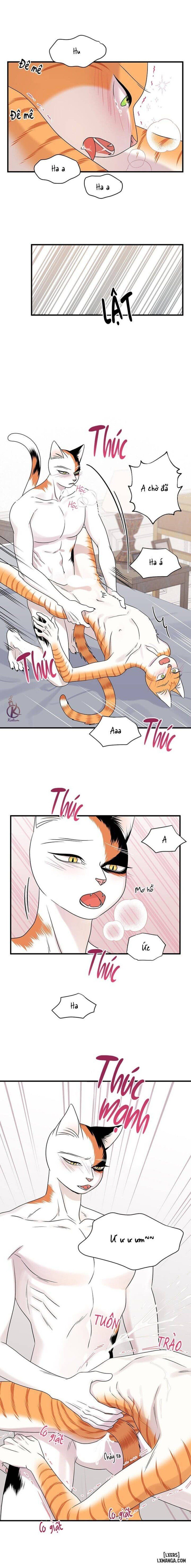 đọc truyện Dự Án Xanh Chương 45 ảnh 16 tại Thiên Thai Truyện