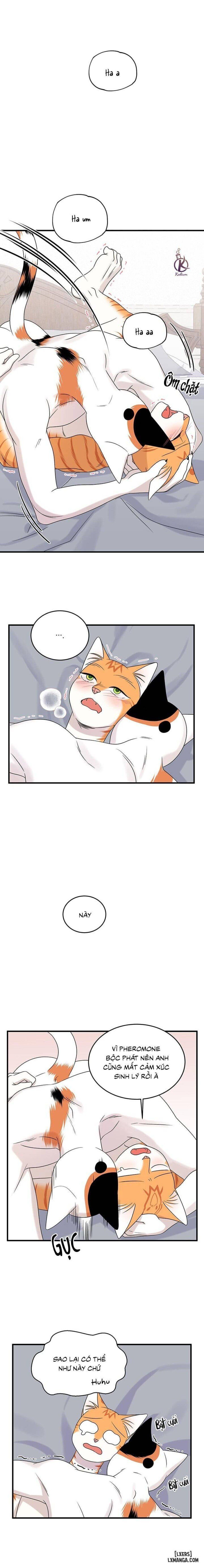 đọc truyện Dự Án Xanh Chương 45 ảnh 17 tại Thiên Thai Truyện