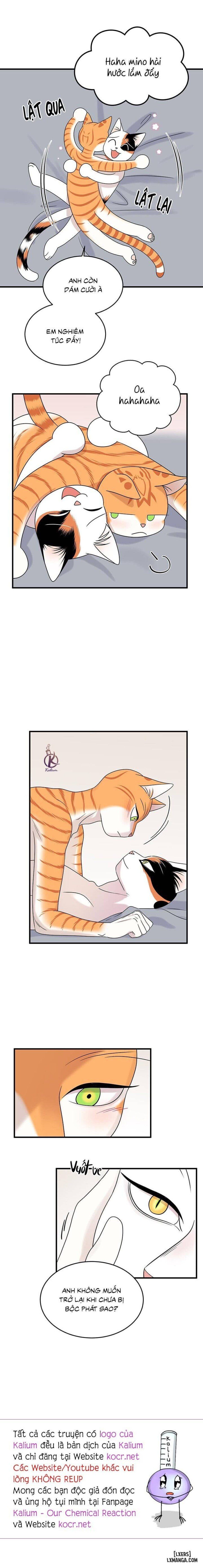 đọc truyện Dự Án Xanh Chương 45 ảnh 18 tại Thiên Thai Truyện