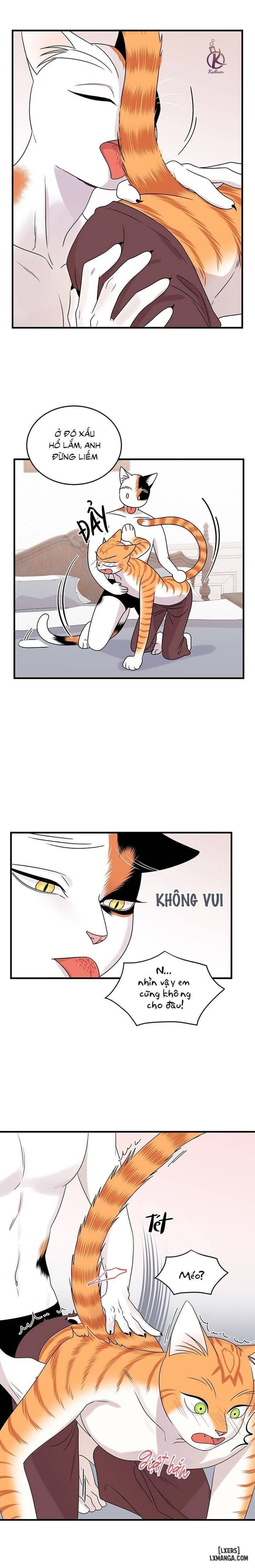 đọc truyện Dự Án Xanh Chương 45 ảnh 6 tại Thiên Thai Truyện