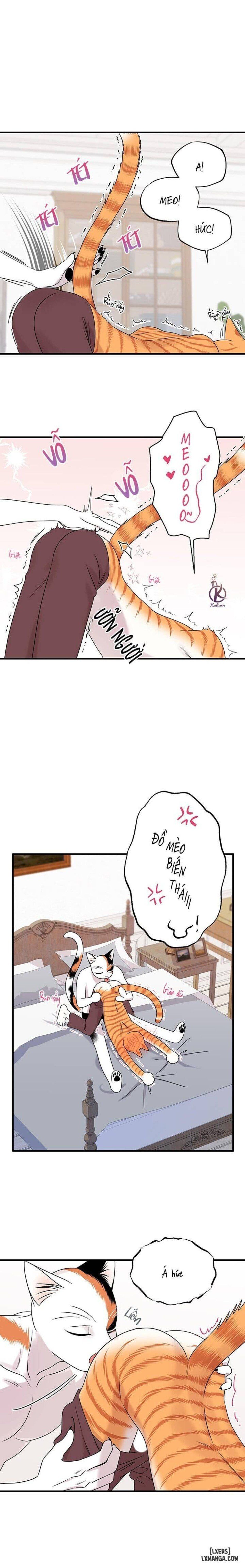 đọc truyện Dự Án Xanh Chương 45 ảnh 7 tại Thiên Thai Truyện