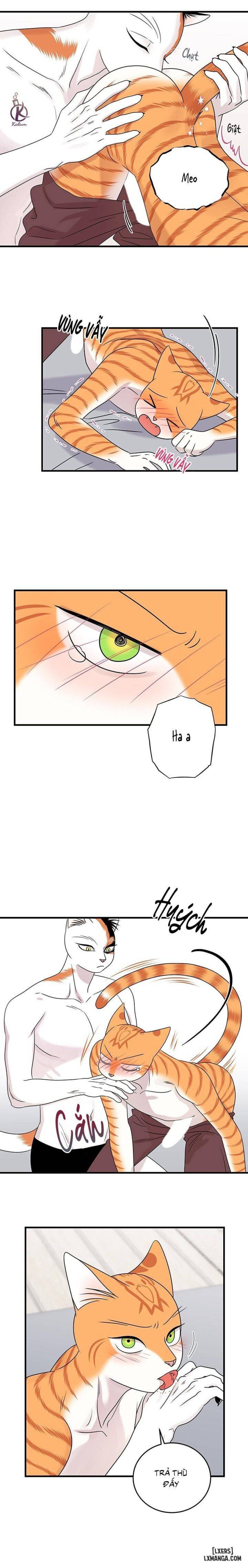 đọc truyện Dự Án Xanh Chương 45 ảnh 8 tại Thiên Thai Truyện