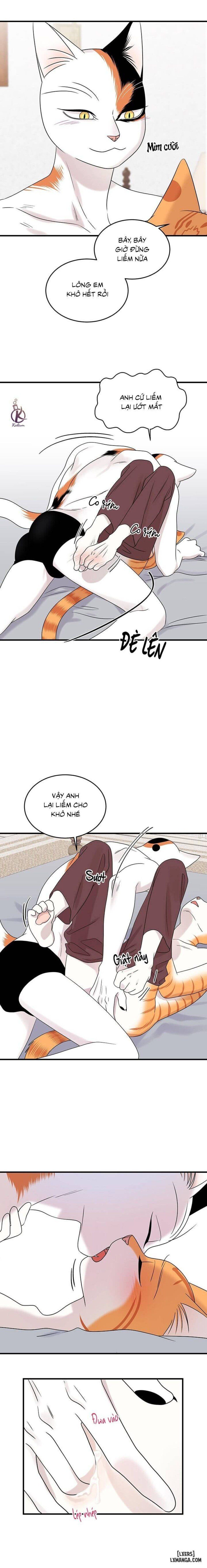 đọc truyện Dự Án Xanh Chương 45 ảnh 9 tại Thiên Thai Truyện