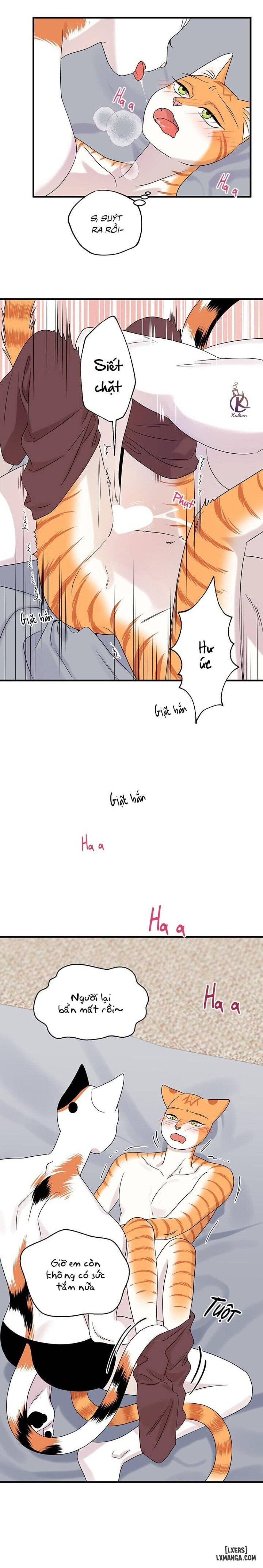 đọc truyện Dự Án Xanh Chương 45 ảnh 11 tại Thiên Thai Truyện