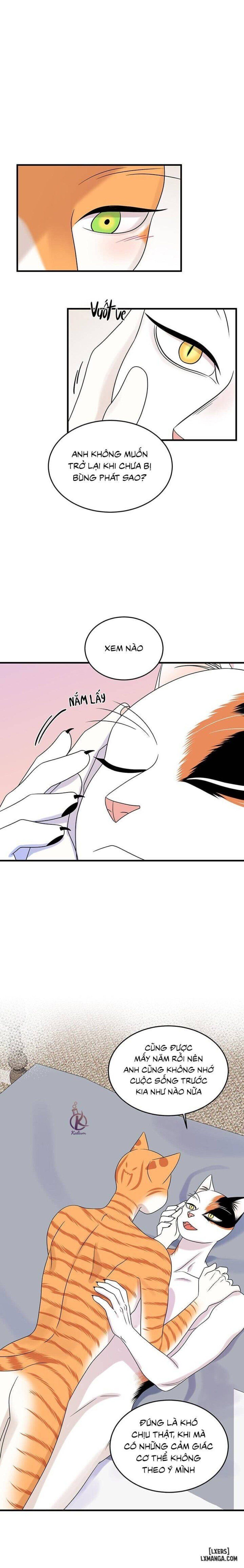 đọc truyện Dự Án Xanh Chương 46 ảnh 2 tại Thiên Thai Truyện