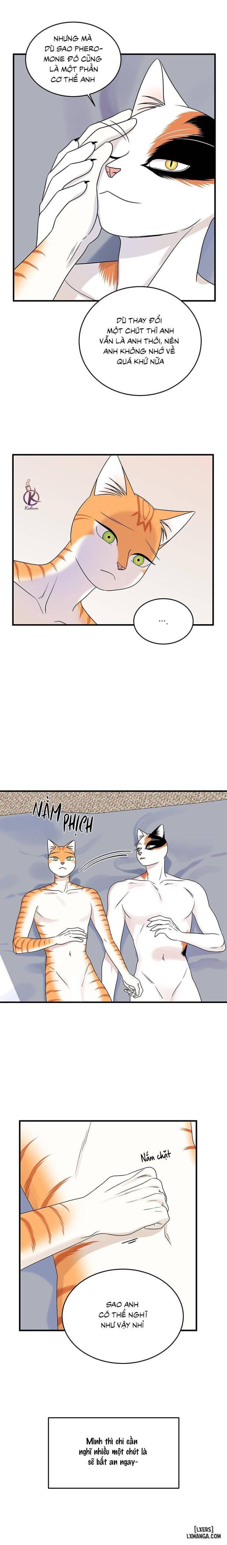 đọc truyện Dự Án Xanh Chương 46 ảnh 3 tại Thiên Thai Truyện