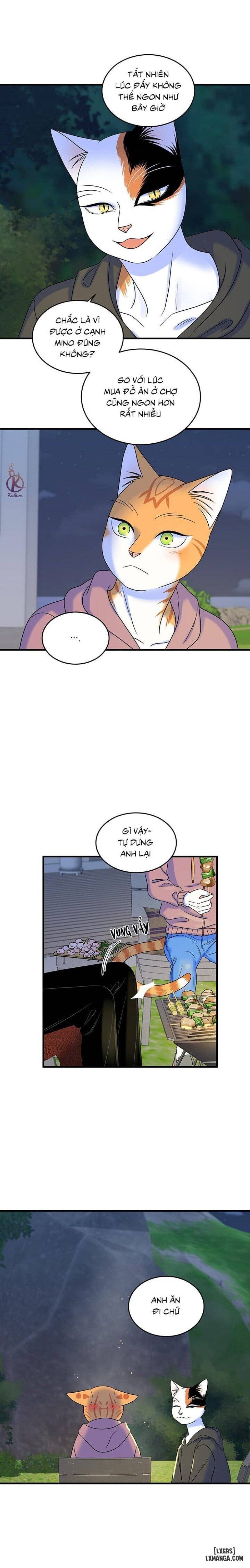 đọc truyện Dự Án Xanh Chương 46 ảnh 14 tại Thiên Thai Truyện