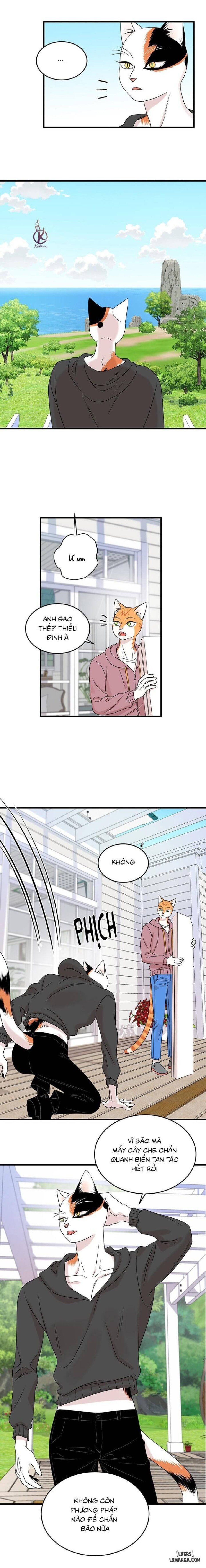 đọc truyện Dự Án Xanh Chương 46 ảnh 7 tại Thiên Thai Truyện