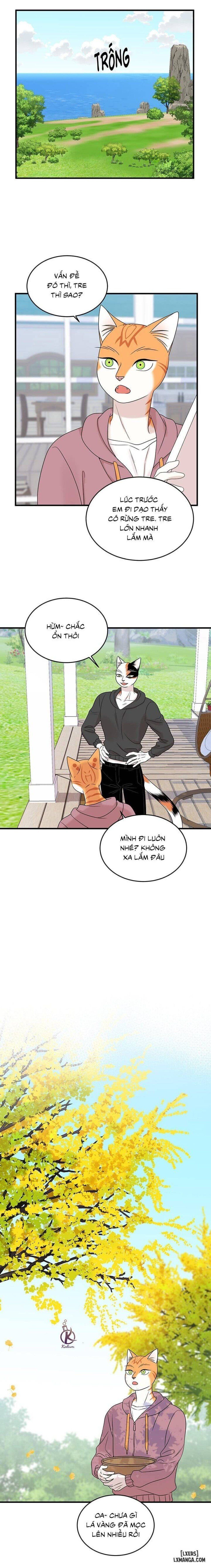 đọc truyện Dự Án Xanh Chương 46 ảnh 8 tại Thiên Thai Truyện