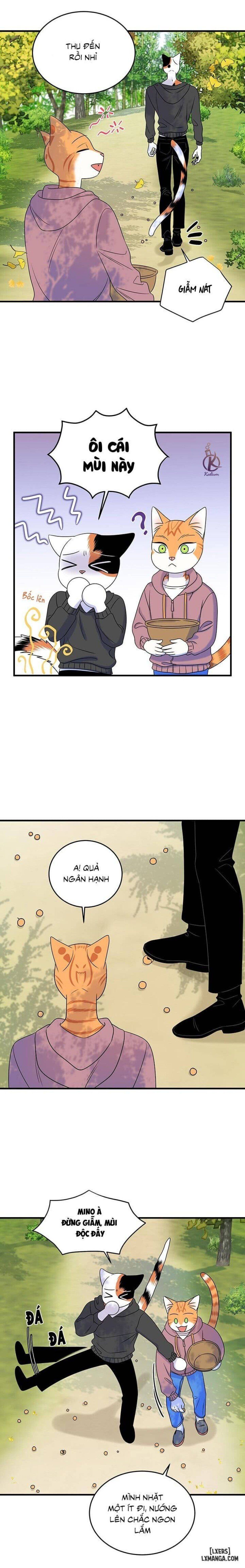 đọc truyện Dự Án Xanh Chương 46 ảnh 9 tại Thiên Thai Truyện