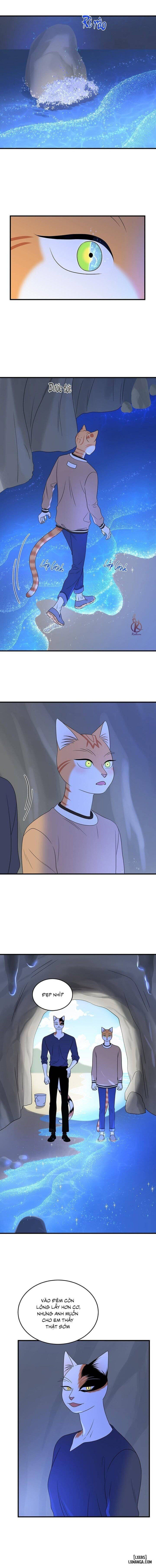 đọc truyện Dự Án Xanh Chương 47 ảnh 8 tại Thiên Thai Truyện