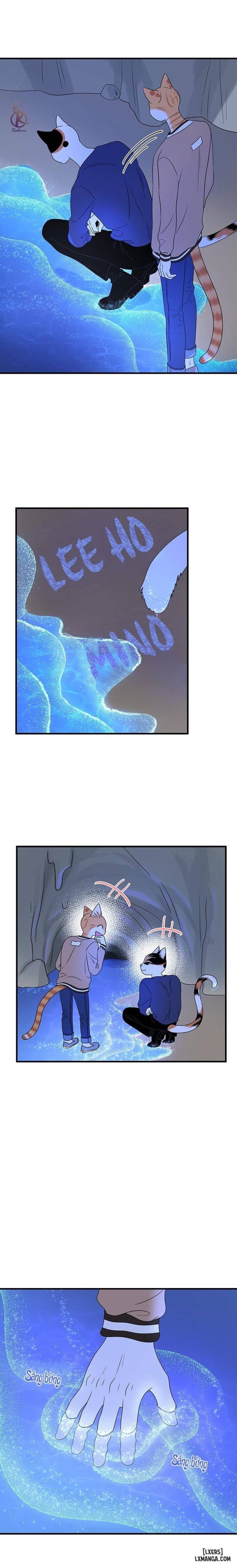 đọc truyện Dự Án Xanh Chương 47 ảnh 9 tại Thiên Thai Truyện