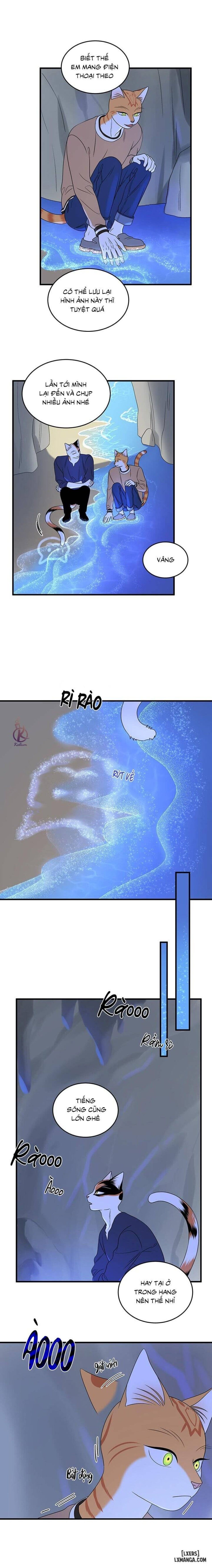 đọc truyện Dự Án Xanh Chương 47 ảnh 10 tại Thiên Thai Truyện