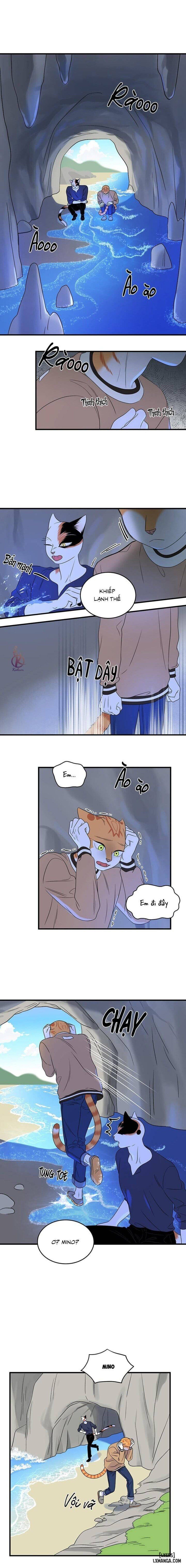 đọc truyện Dự Án Xanh Chương 47 ảnh 11 tại Thiên Thai Truyện