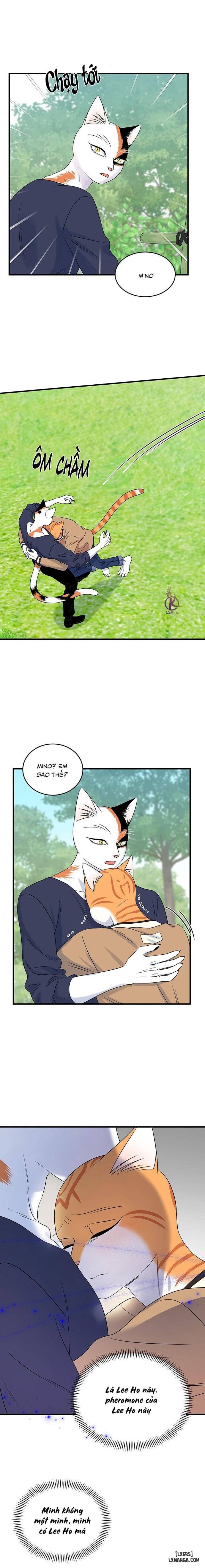 đọc truyện Dự Án Xanh Chương 48 ảnh 14 tại Thiên Thai Truyện