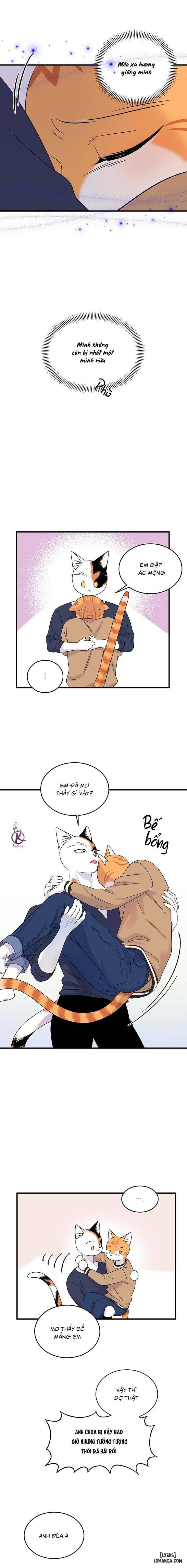 đọc truyện Dự Án Xanh Chương 48 ảnh 15 tại Thiên Thai Truyện