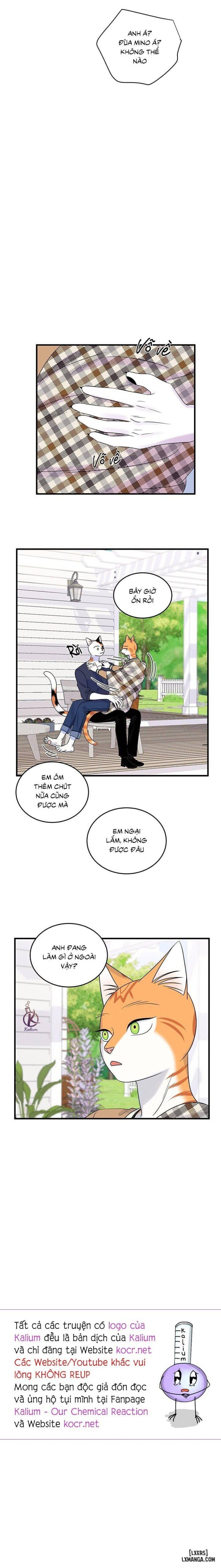 đọc truyện Dự Án Xanh Chương 48 ảnh 16 tại Thiên Thai Truyện