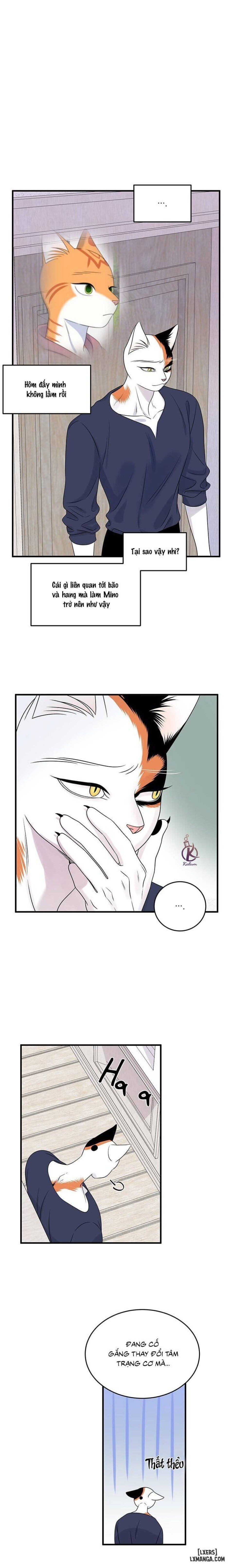 đọc truyện Dự Án Xanh Chương 48 ảnh 9 tại Thiên Thai Truyện