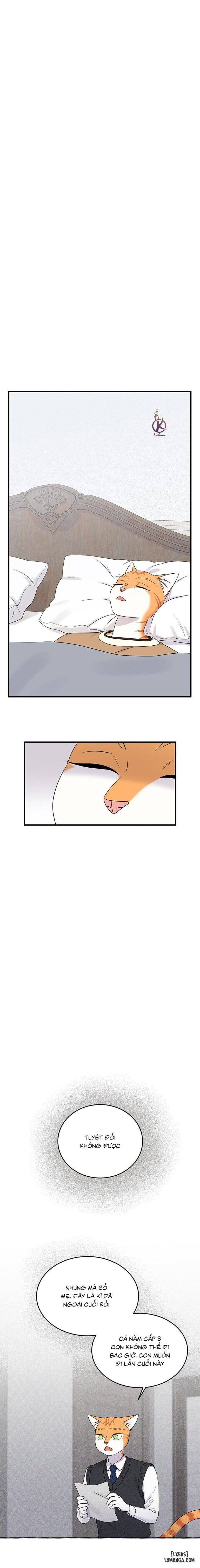 đọc truyện Dự Án Xanh Chương 48 ảnh 10 tại Thiên Thai Truyện