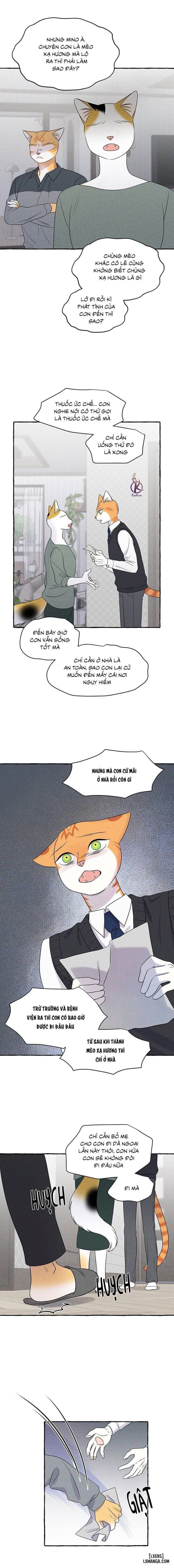 đọc truyện Dự Án Xanh Chương 48 ảnh 11 tại Thiên Thai Truyện