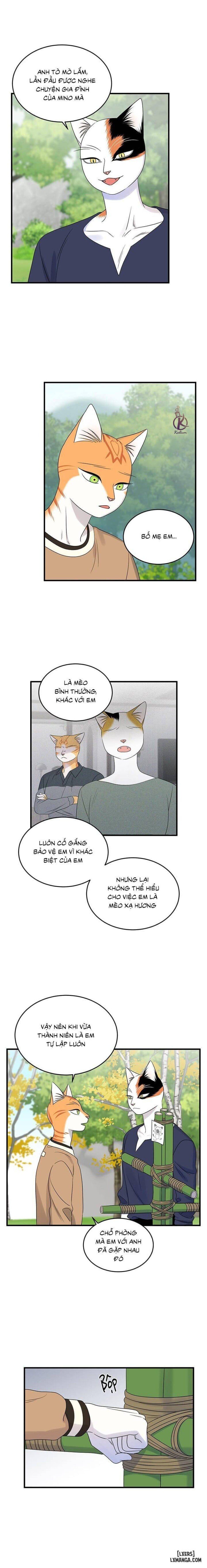 đọc truyện Dự Án Xanh Chương 49 ảnh 3 tại Thiên Thai Truyện