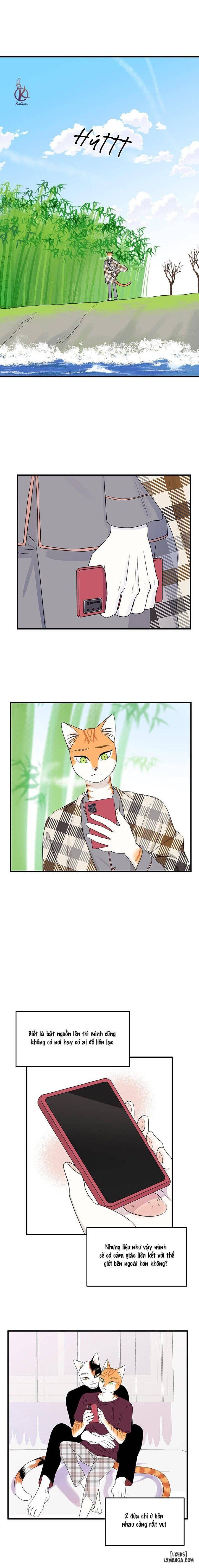 đọc truyện Dự Án Xanh Chương 49 ảnh 12 tại Thiên Thai Truyện