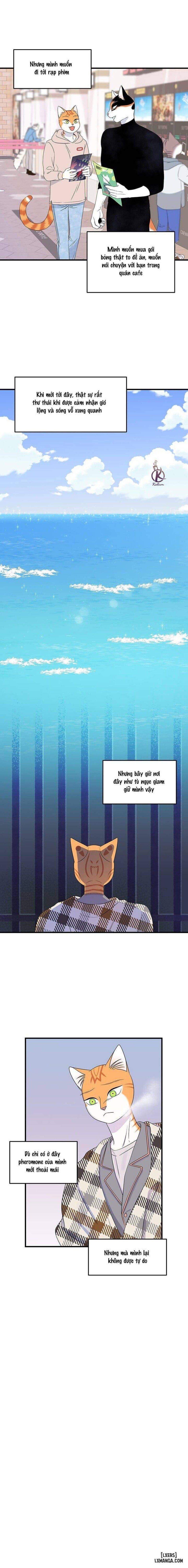 đọc truyện Dự Án Xanh Chương 49 ảnh 13 tại Thiên Thai Truyện