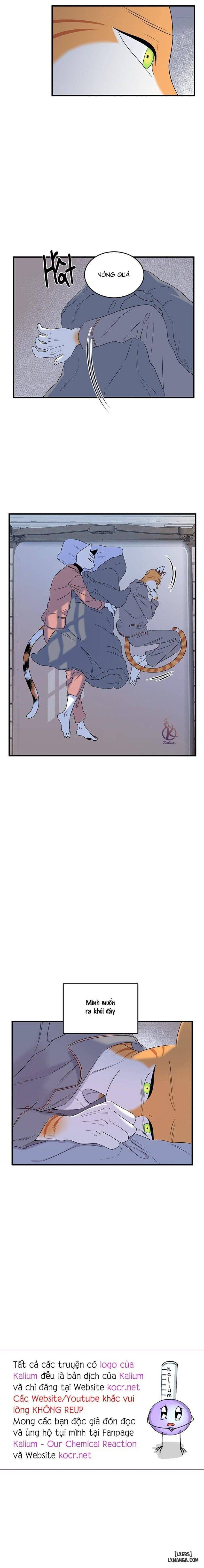 đọc truyện Dự Án Xanh Chương 49 ảnh 15 tại Thiên Thai Truyện