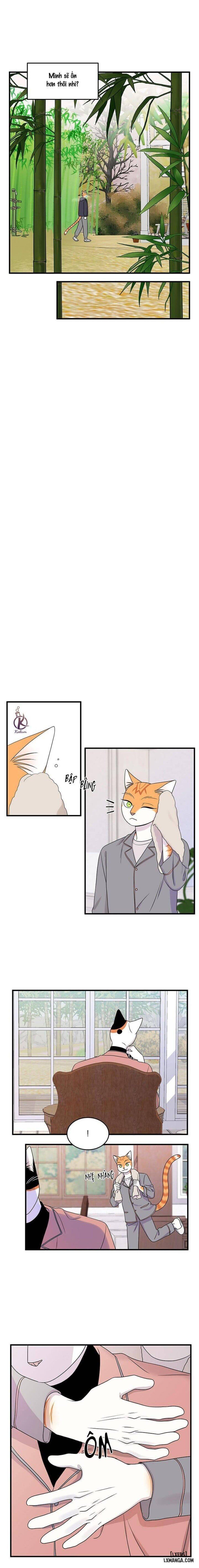 đọc truyện Dự Án Xanh Chương 49 ảnh 8 tại Thiên Thai Truyện