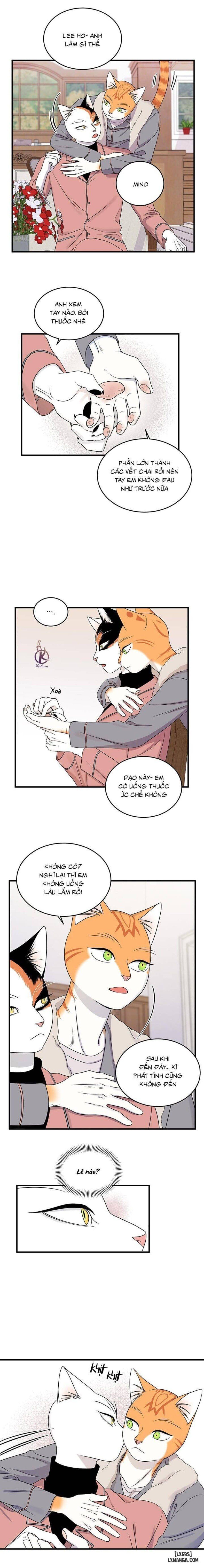 đọc truyện Dự Án Xanh Chương 49 ảnh 9 tại Thiên Thai Truyện