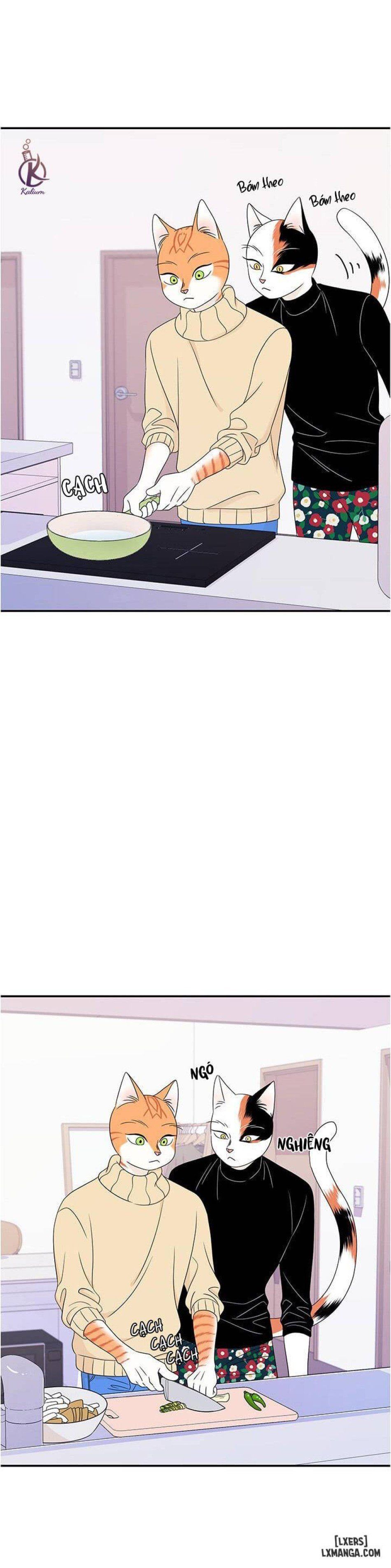 đọc truyện Dự Án Xanh Chương 5 ảnh 3 tại Thiên Thai Truyện