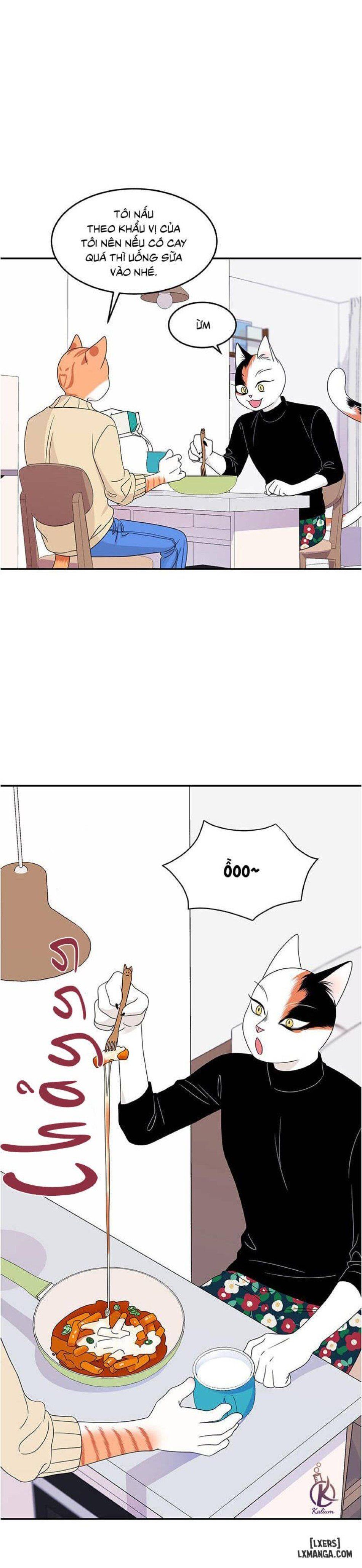 đọc truyện Dự Án Xanh Chương 5 ảnh 12 tại Thiên Thai Truyện