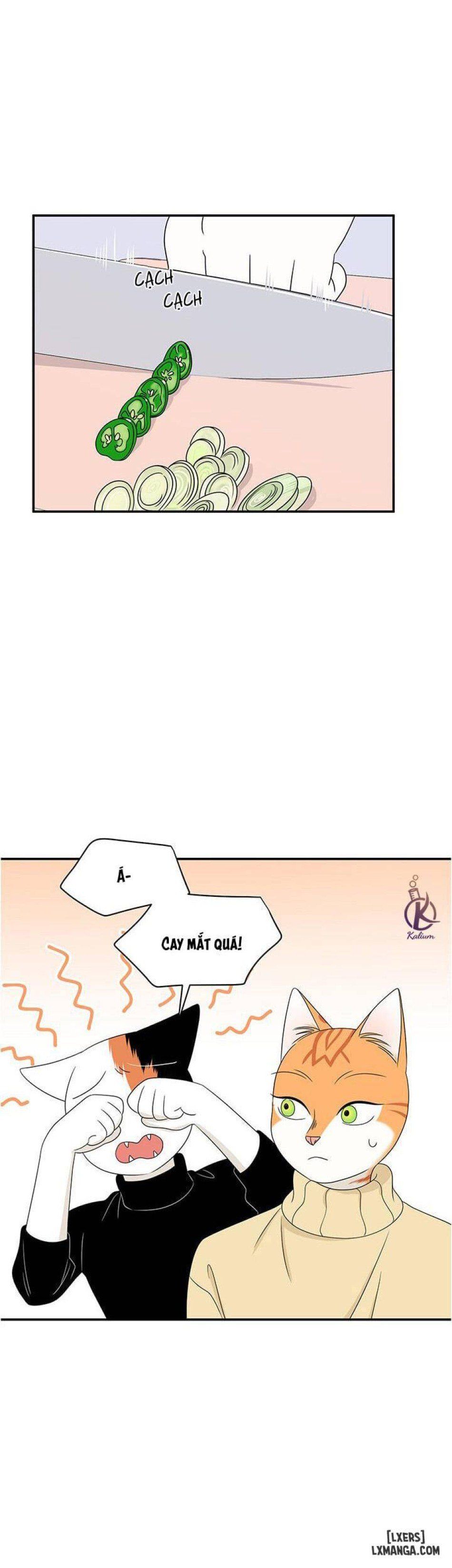 đọc truyện Dự Án Xanh Chương 5 ảnh 4 tại Thiên Thai Truyện