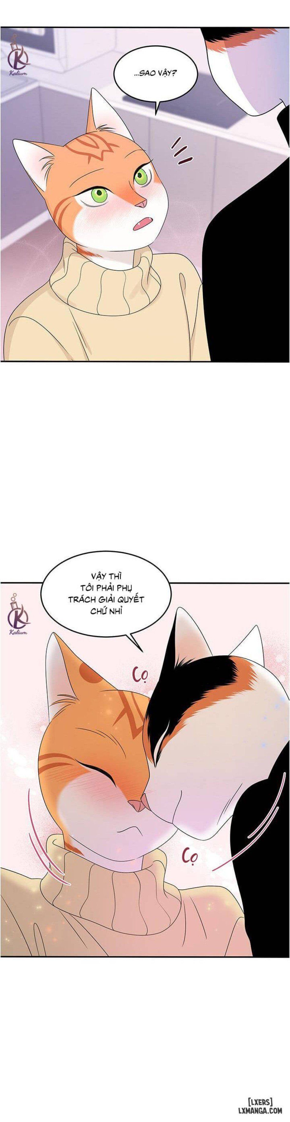 đọc truyện Dự Án Xanh Chương 5 ảnh 24 tại Thiên Thai Truyện