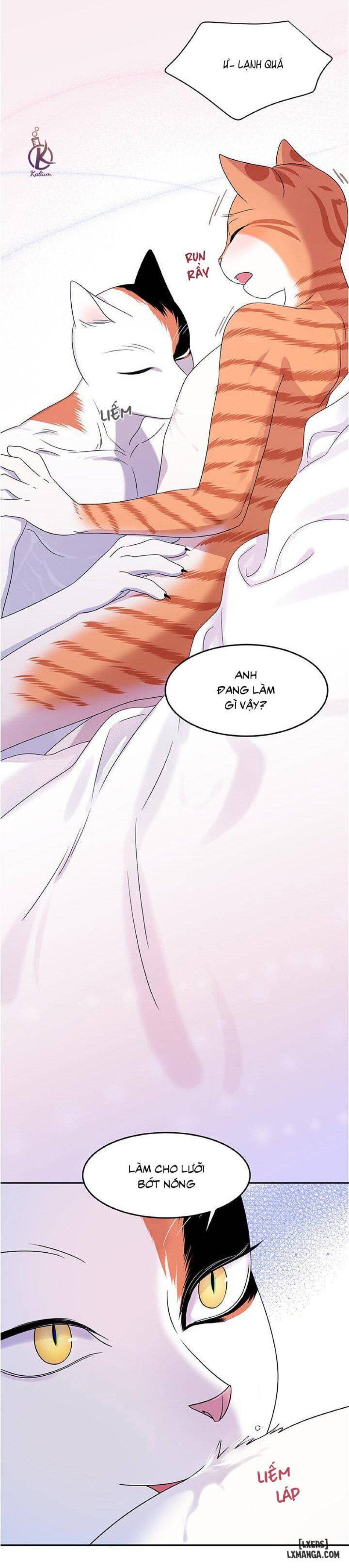 đọc truyện Dự Án Xanh Chương 5 ảnh 29 tại Thiên Thai Truyện