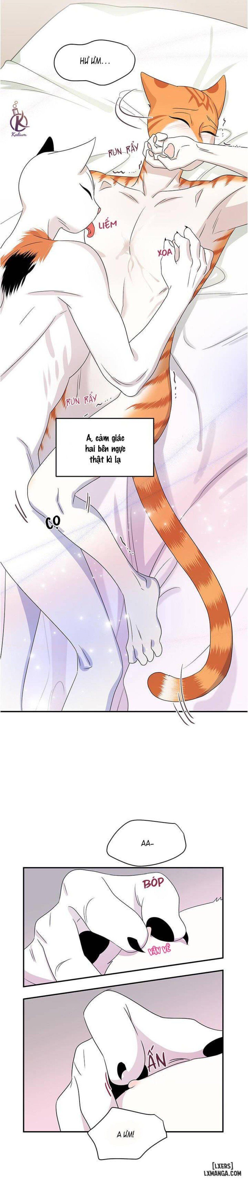 đọc truyện Dự Án Xanh Chương 5 ảnh 31 tại Thiên Thai Truyện