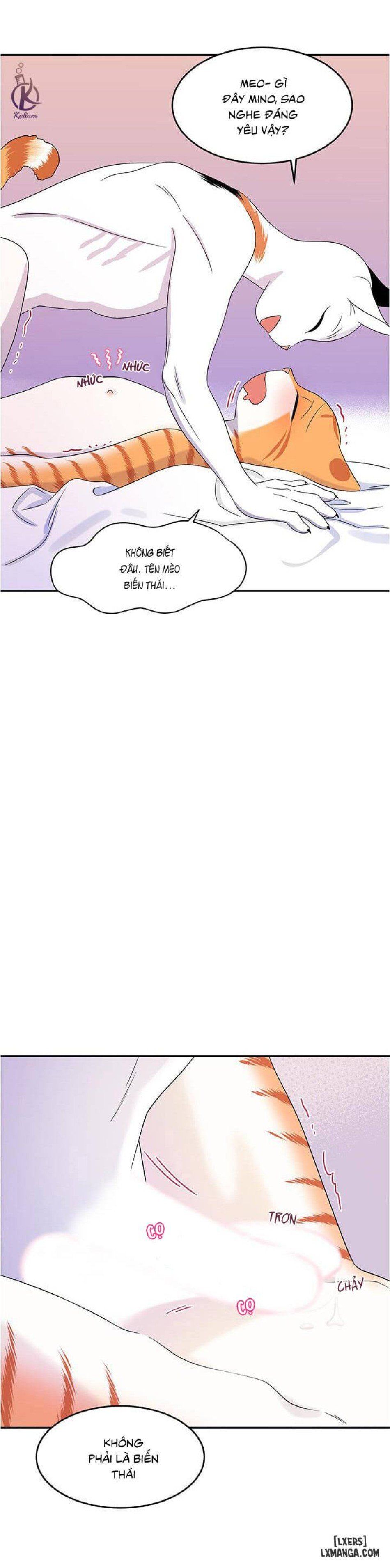 đọc truyện Dự Án Xanh Chương 5 ảnh 34 tại Thiên Thai Truyện