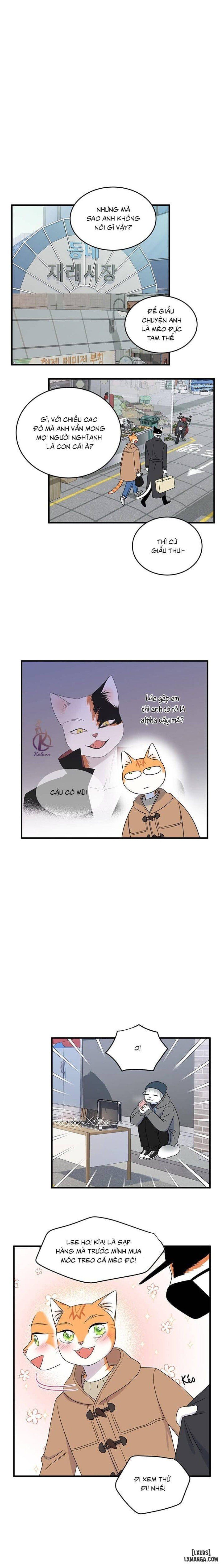 đọc truyện Dự Án Xanh Chương 50 ảnh 12 tại Thiên Thai Truyện