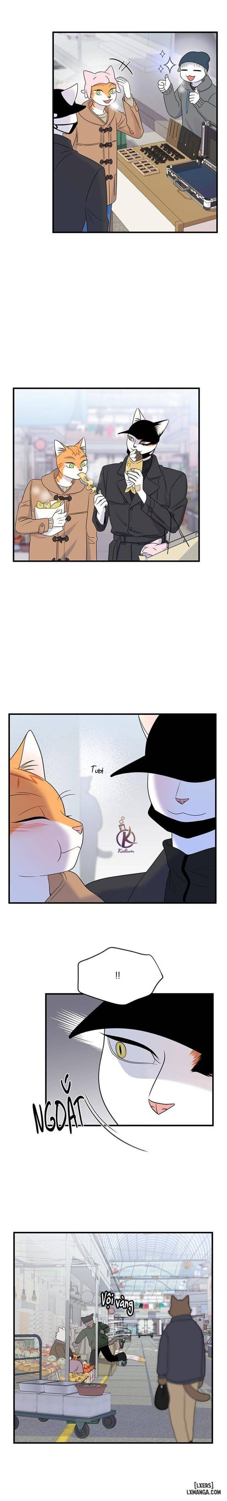 đọc truyện Dự Án Xanh Chương 50 ảnh 13 tại Thiên Thai Truyện