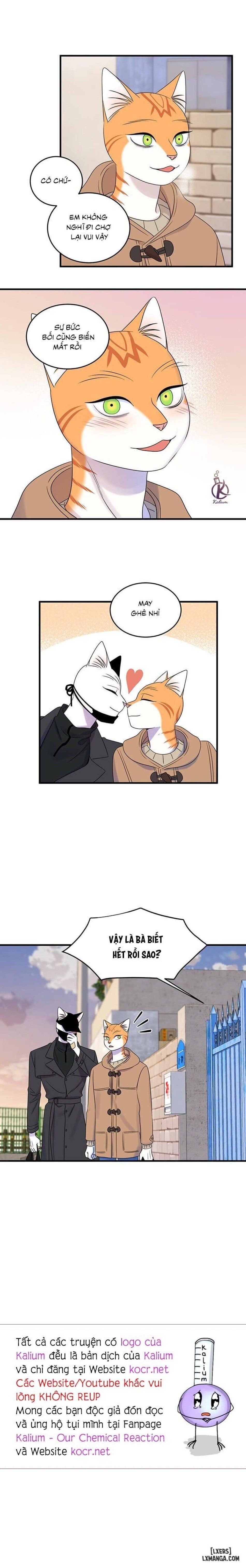 đọc truyện Dự Án Xanh Chương 50 ảnh 15 tại Thiên Thai Truyện