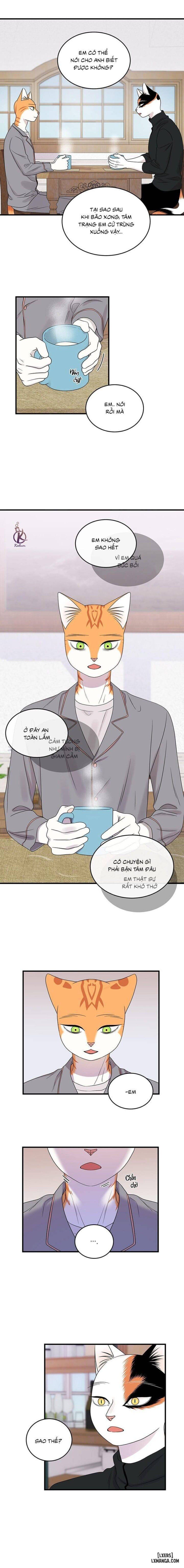 đọc truyện Dự Án Xanh Chương 50 ảnh 4 tại Thiên Thai Truyện