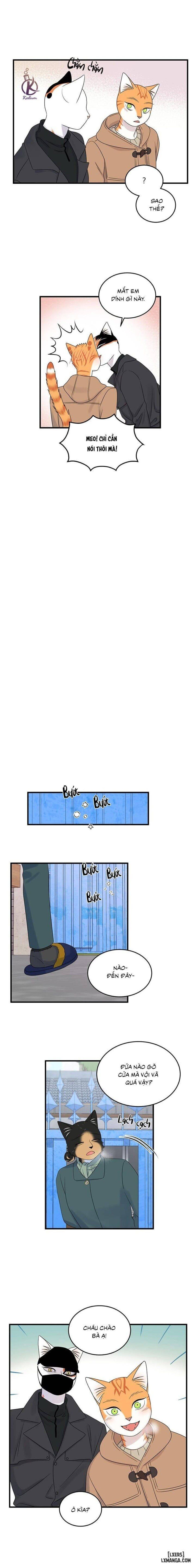 đọc truyện Dự Án Xanh Chương 50 ảnh 9 tại Thiên Thai Truyện