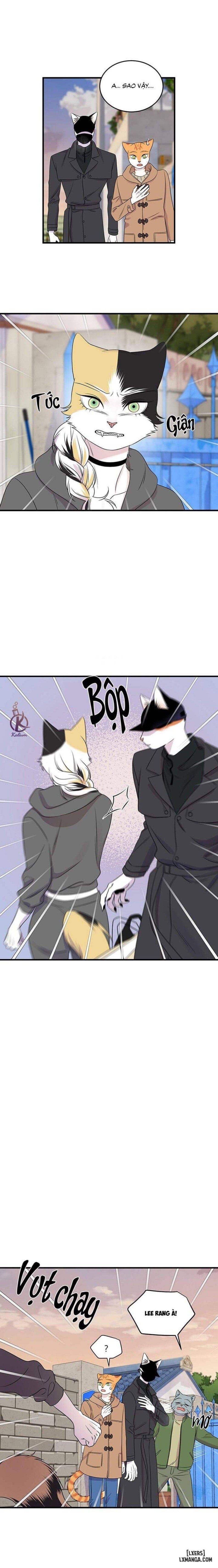 đọc truyện Dự Án Xanh Chương 51 ảnh 3 tại Thiên Thai Truyện