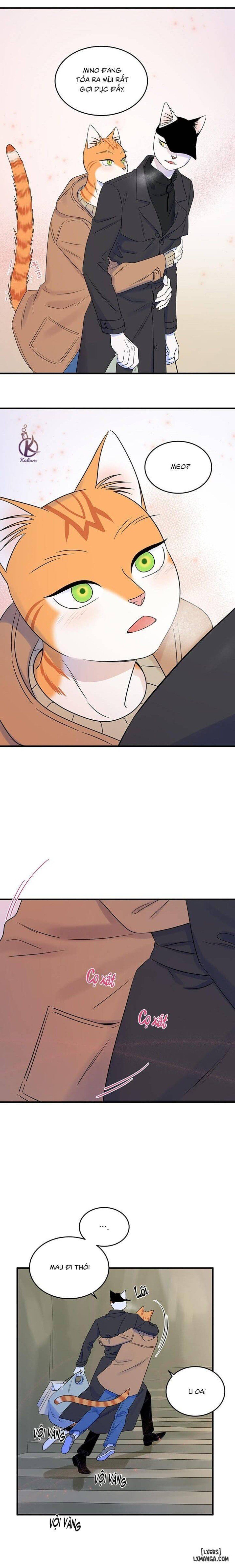 đọc truyện Dự Án Xanh Chương 51 ảnh 15 tại Thiên Thai Truyện