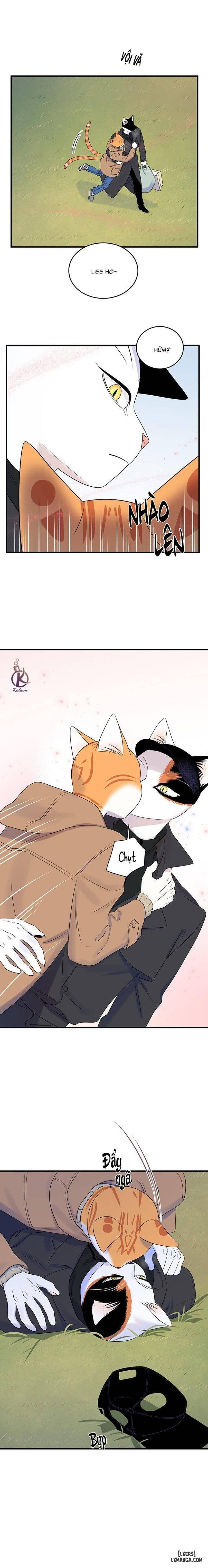 đọc truyện Dự Án Xanh Chương 51 ảnh 16 tại Thiên Thai Truyện