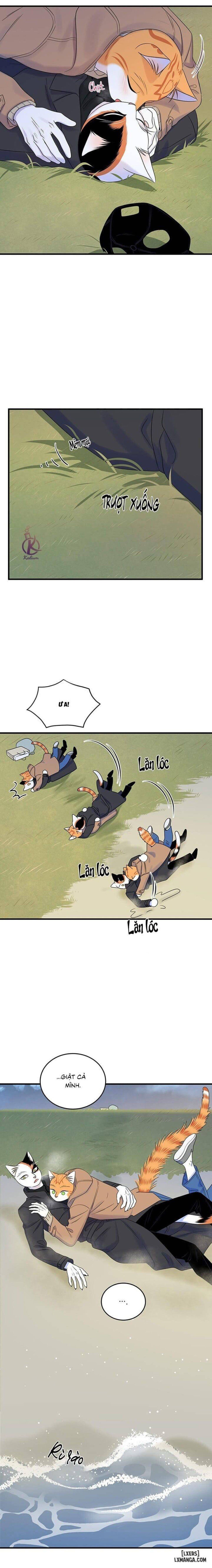 đọc truyện Dự Án Xanh Chương 51 ảnh 17 tại Thiên Thai Truyện