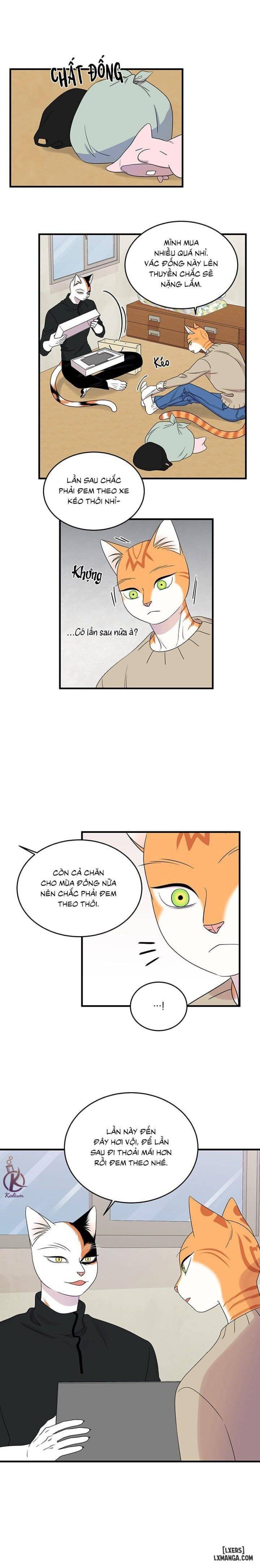 đọc truyện Dự Án Xanh Chương 51 ảnh 6 tại Thiên Thai Truyện