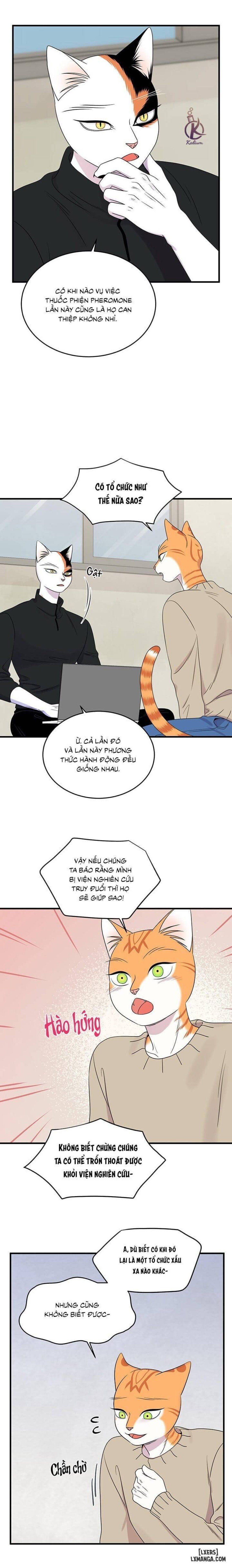 đọc truyện Dự Án Xanh Chương 51 ảnh 9 tại Thiên Thai Truyện