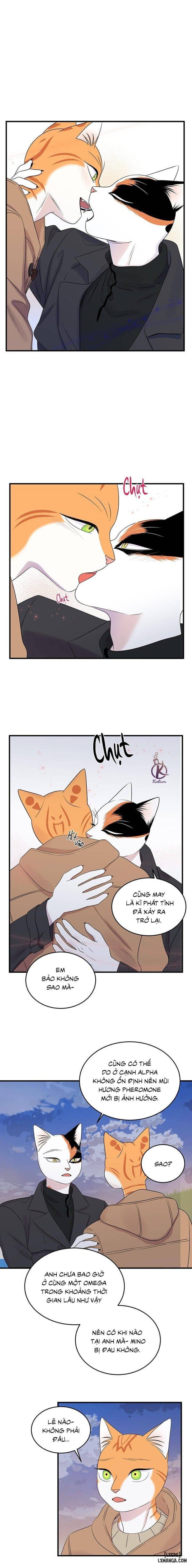 đọc truyện Dự Án Xanh Chương 52 ảnh 2 tại Thiên Thai Truyện