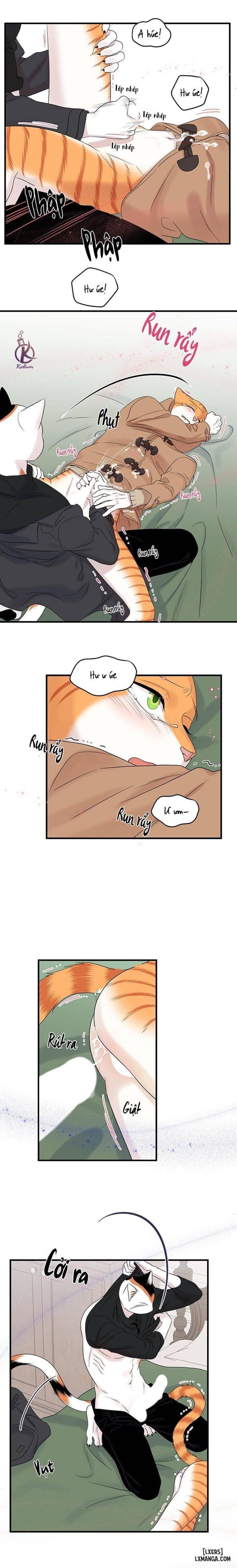 đọc truyện Dự Án Xanh Chương 52 ảnh 12 tại Thiên Thai Truyện